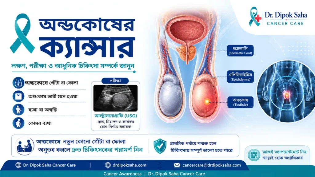 অণ্ডকোষের ক্যান্সারের লক্ষণ, অণ্ডকোষে গোঁটা বা ফোলা, আল্ট্রাসনোগ্রাফি পরীক্ষা এবং আধুনিক চিকিৎসা সম্পর্কে বাংলা সচেতনতামূলক ইনফোগ্রাফিক